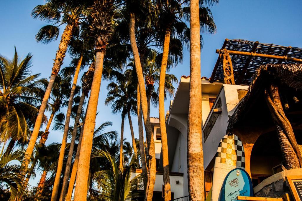 Cabo Surf Hotel San José del Cabo Εξωτερικό φωτογραφία