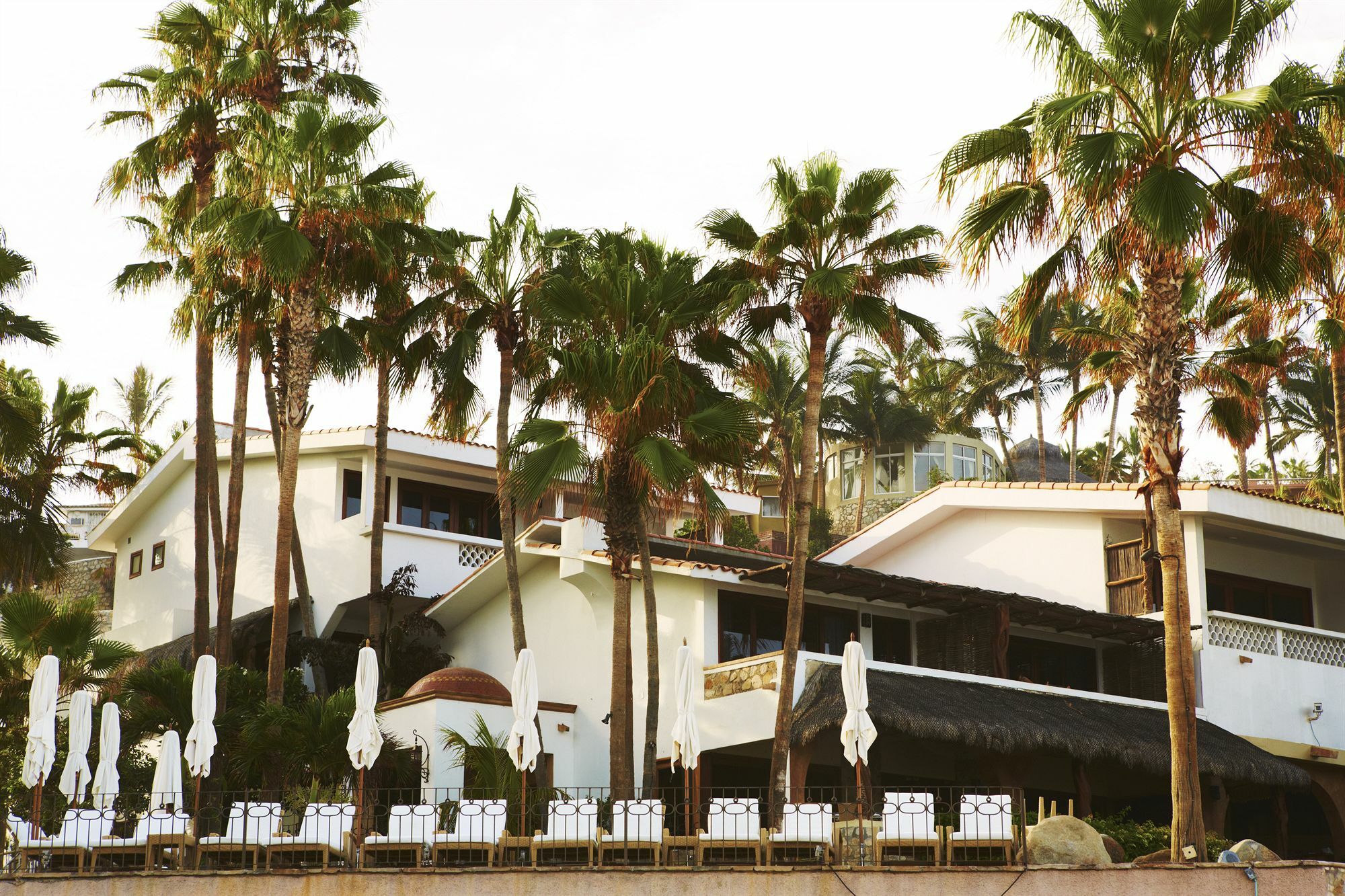 Cabo Surf Hotel San José del Cabo Εξωτερικό φωτογραφία